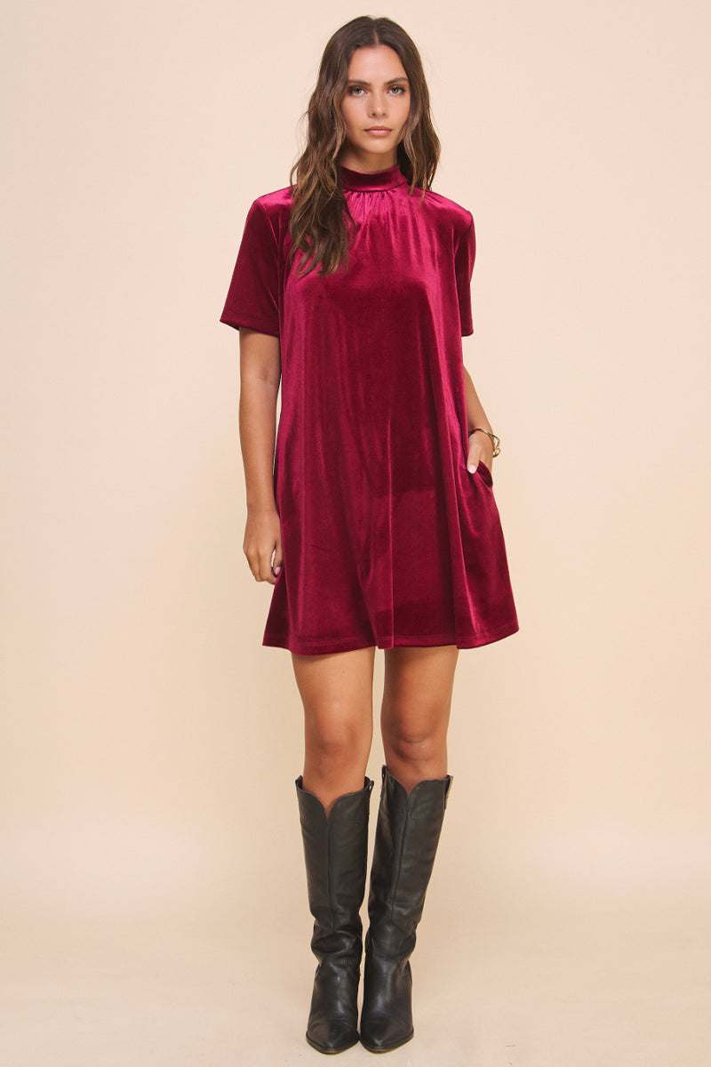 Natalie Velvet Dress